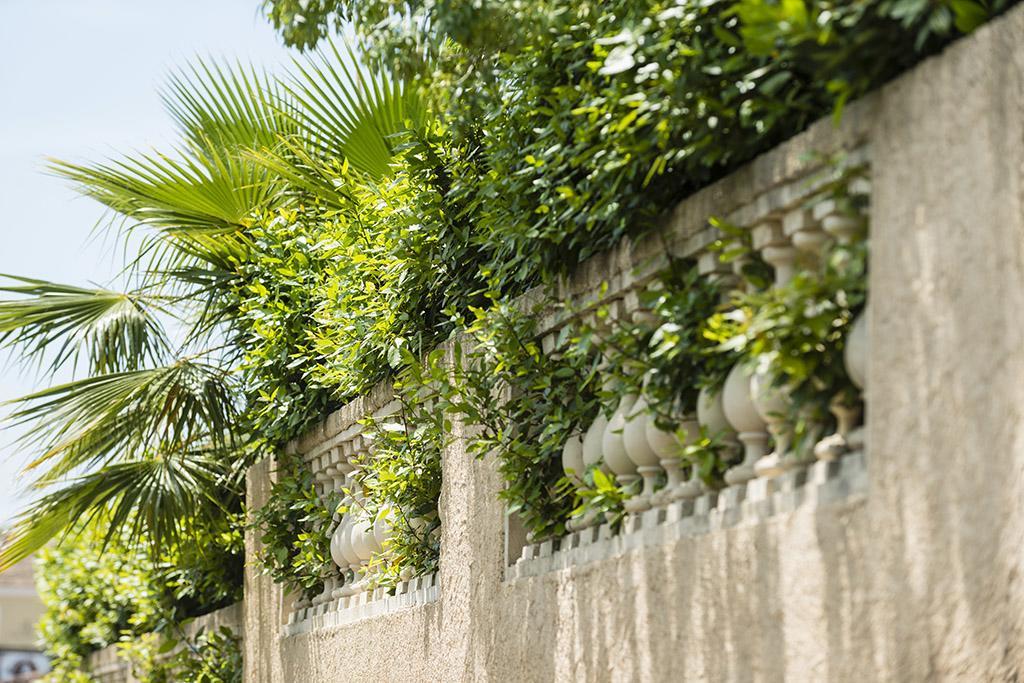 Les Jardins De La Mer Grimaud Exteriér fotografie